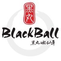 Customer of SQL - The Number 1 Accounting Software: black ball